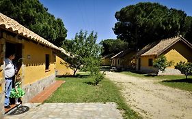 Camping Vejer