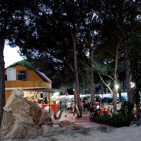Camping Vejer Vejer de la Frontera Buitenkant foto