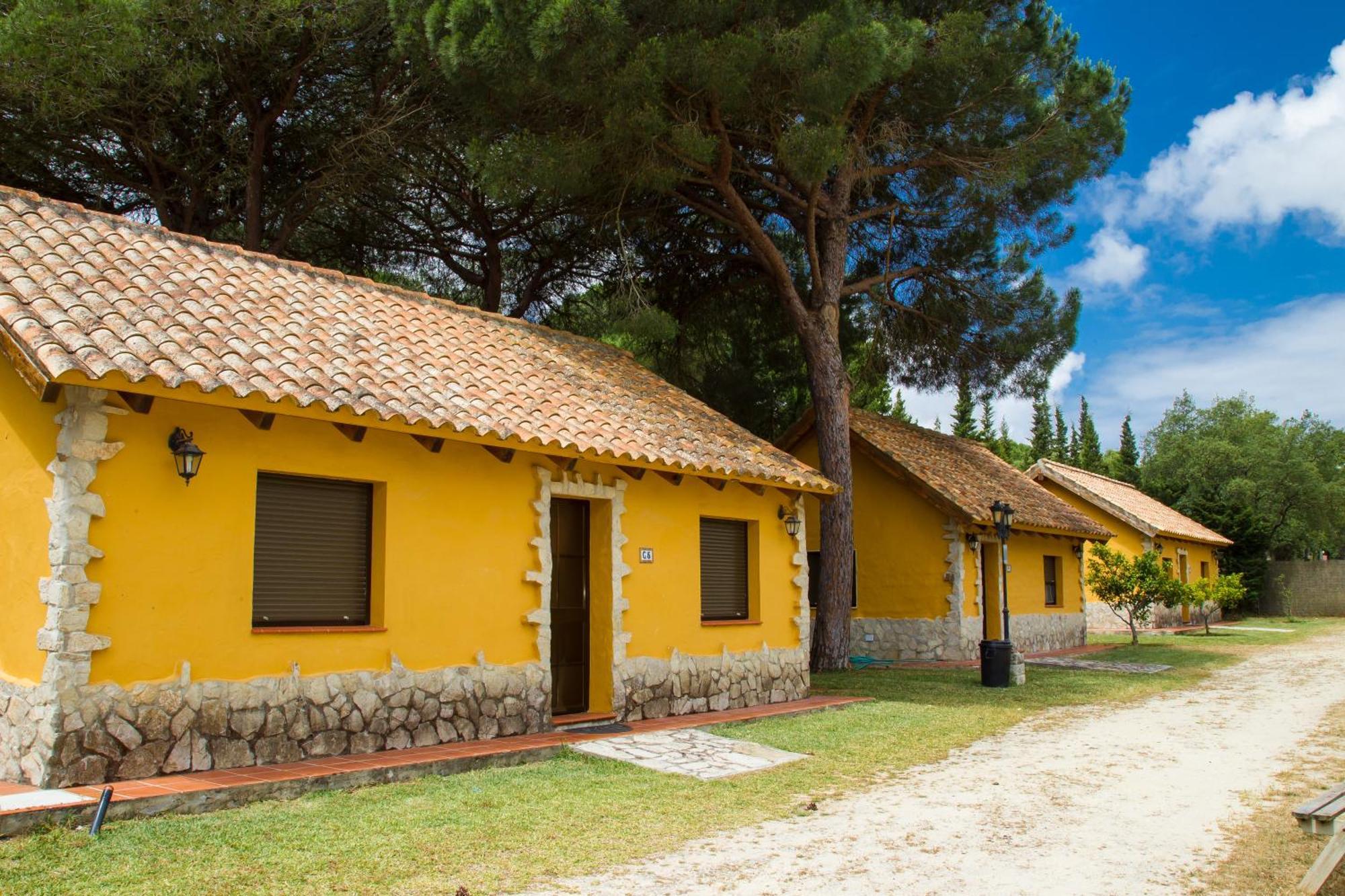 Camping Vejer Vejer de la Frontera Kamer foto
